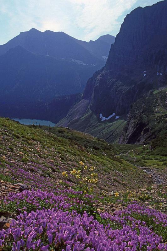 Glacier NP Aug-1990 Iceberg Lake Hike 2.jpg